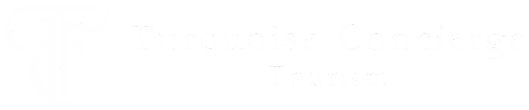 turquoise logo